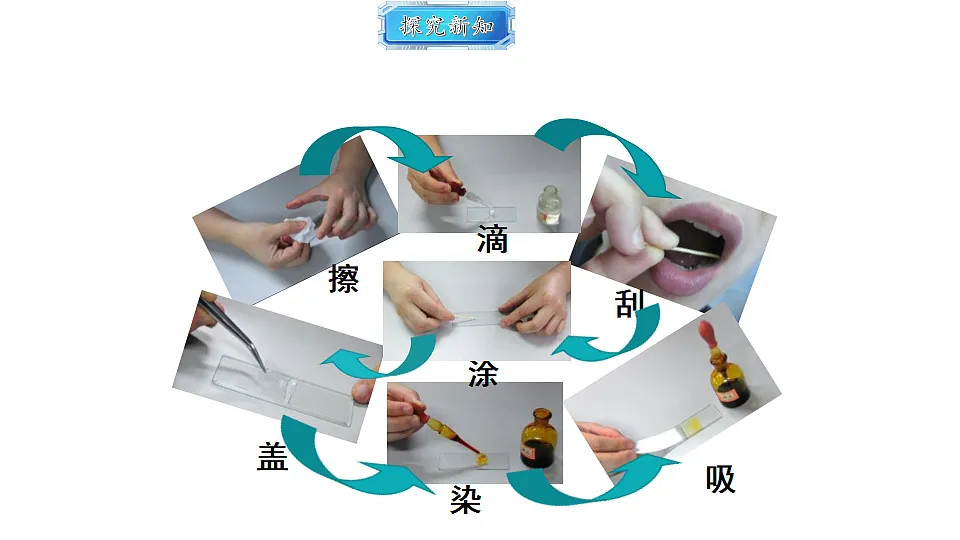 18493715第6页