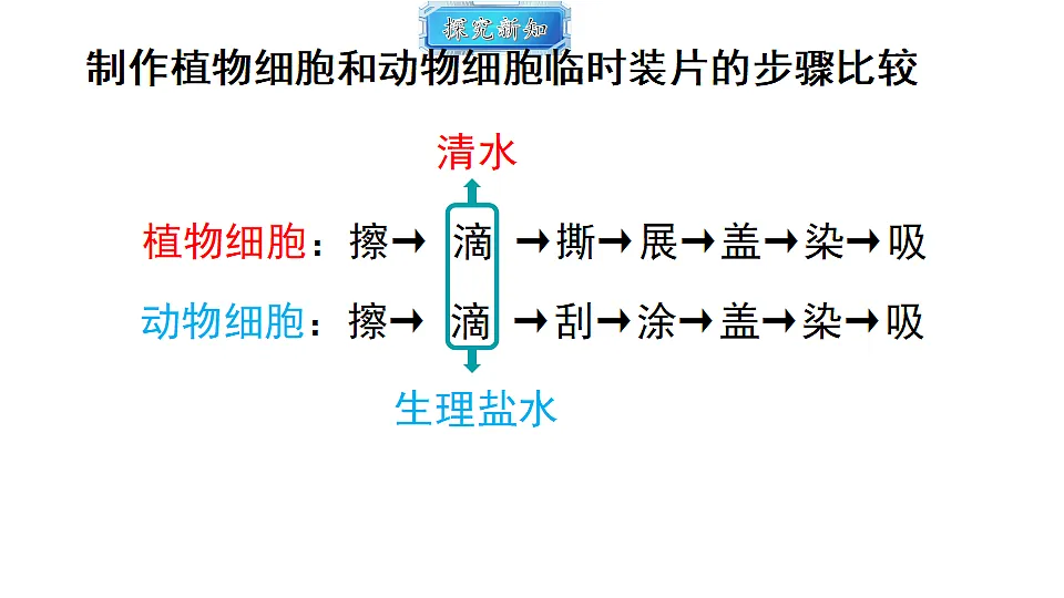 18493715第8页