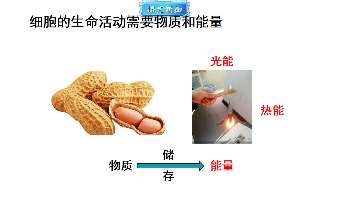 18493716第4页