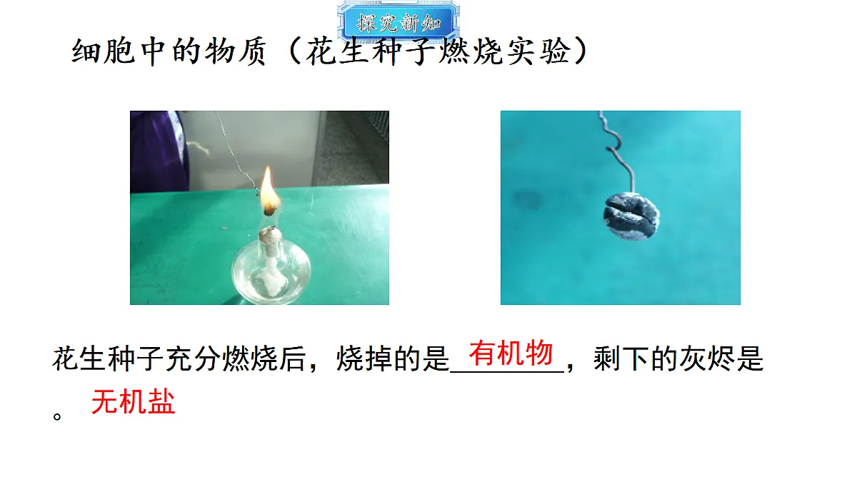18493716第7页
