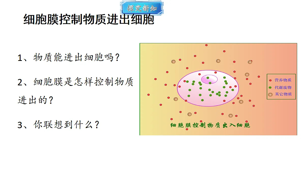 18493716第8页