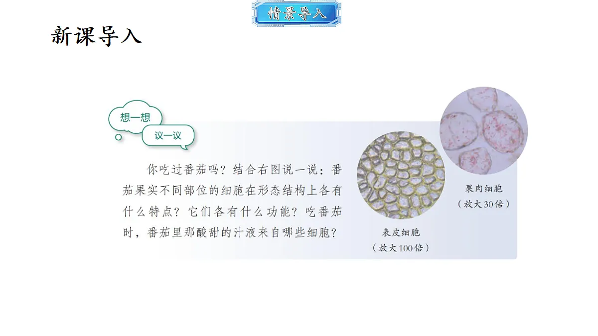 18493723第2页