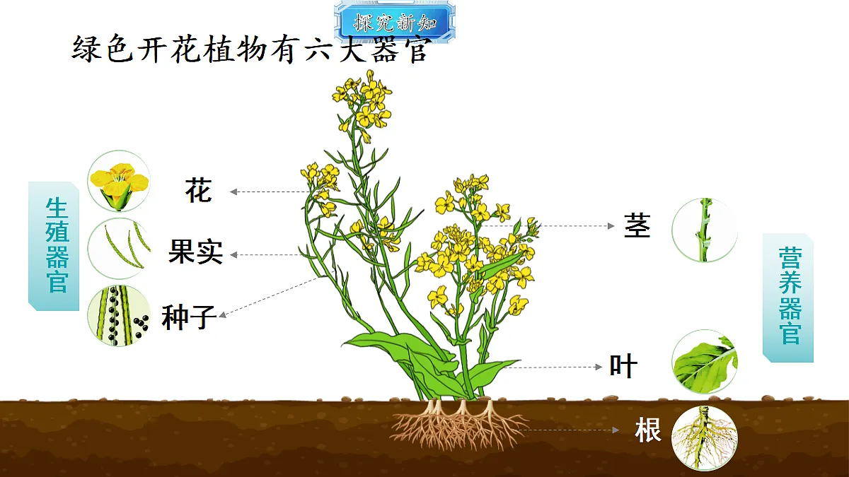 18493723第3页