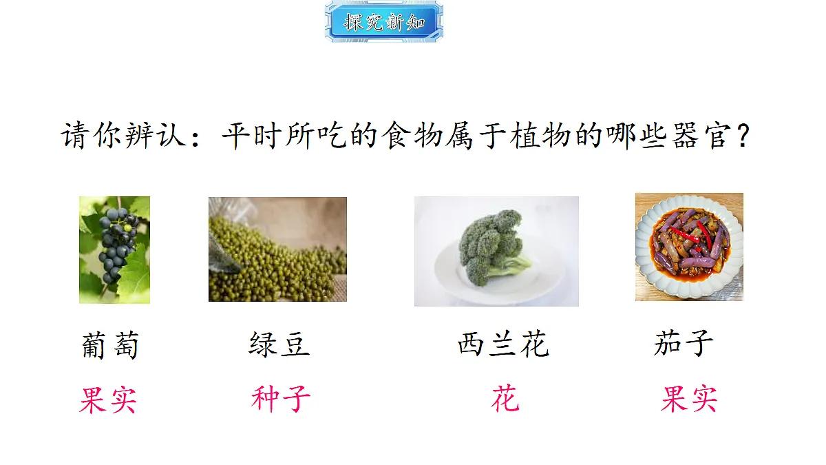 18493723第4页