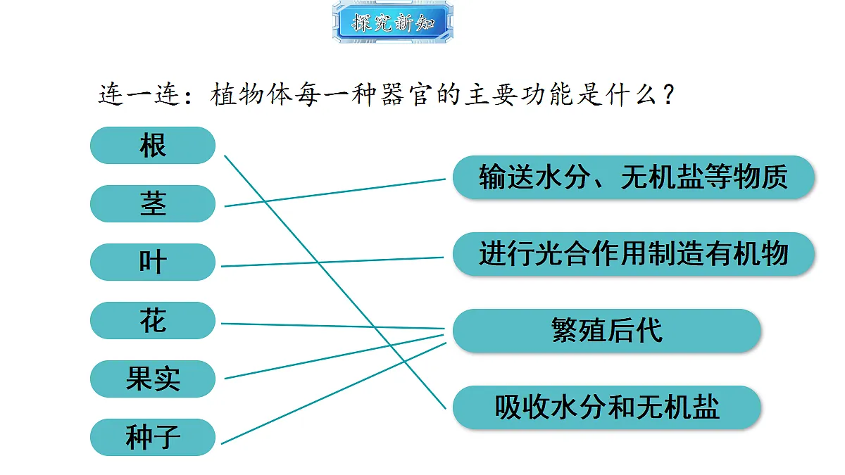 18493723第5页