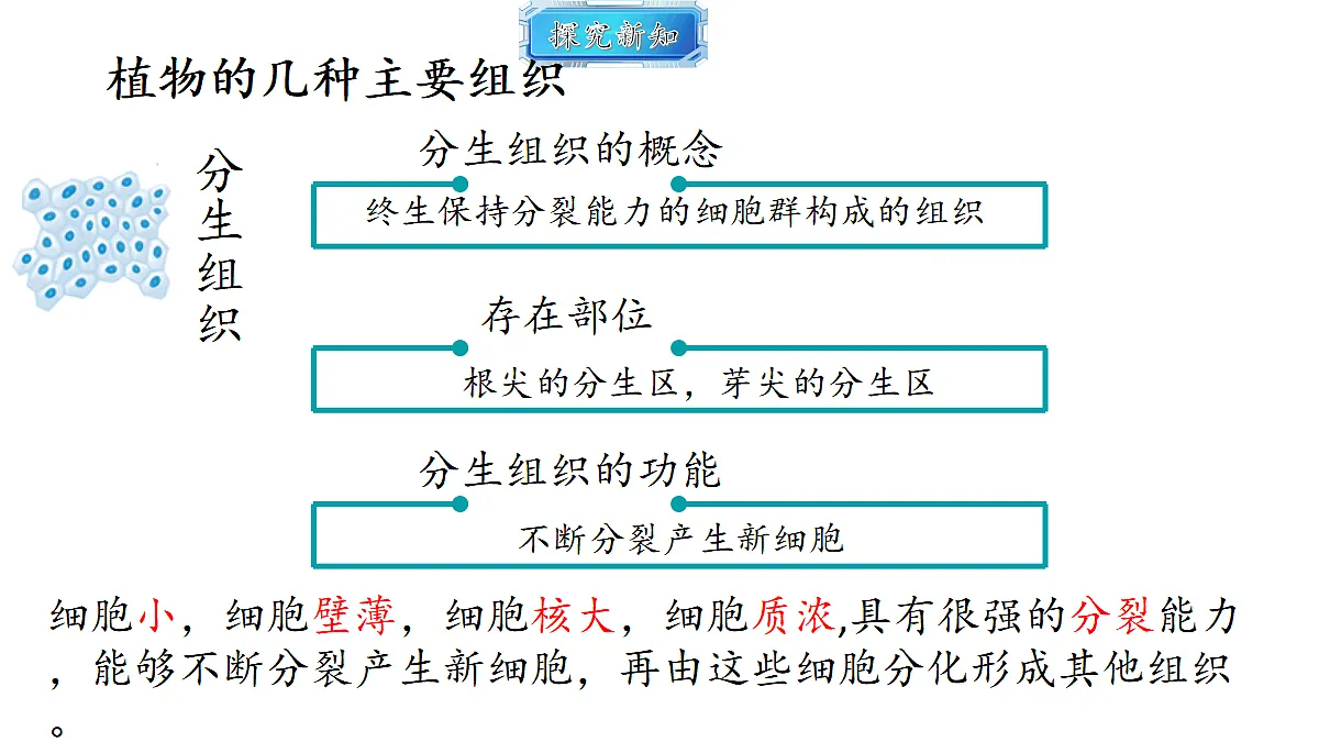 18493723第6页