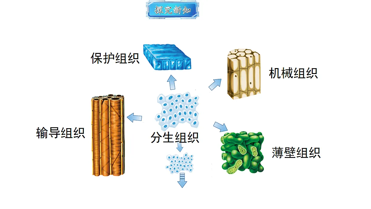 18493723第7页