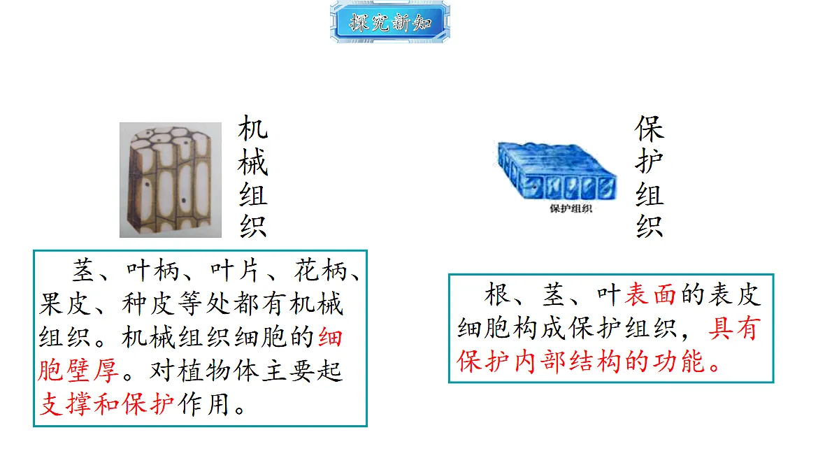 18493723第8页
