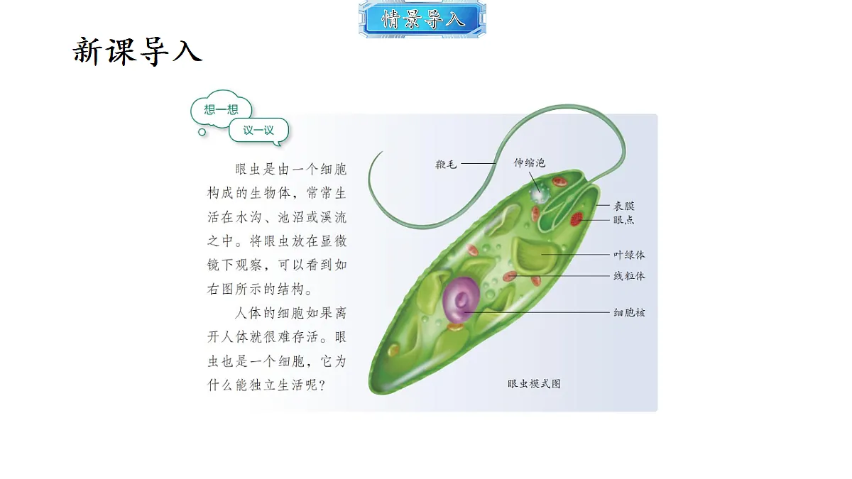 18493724第2页