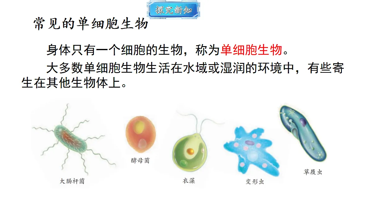 18493724第3页
