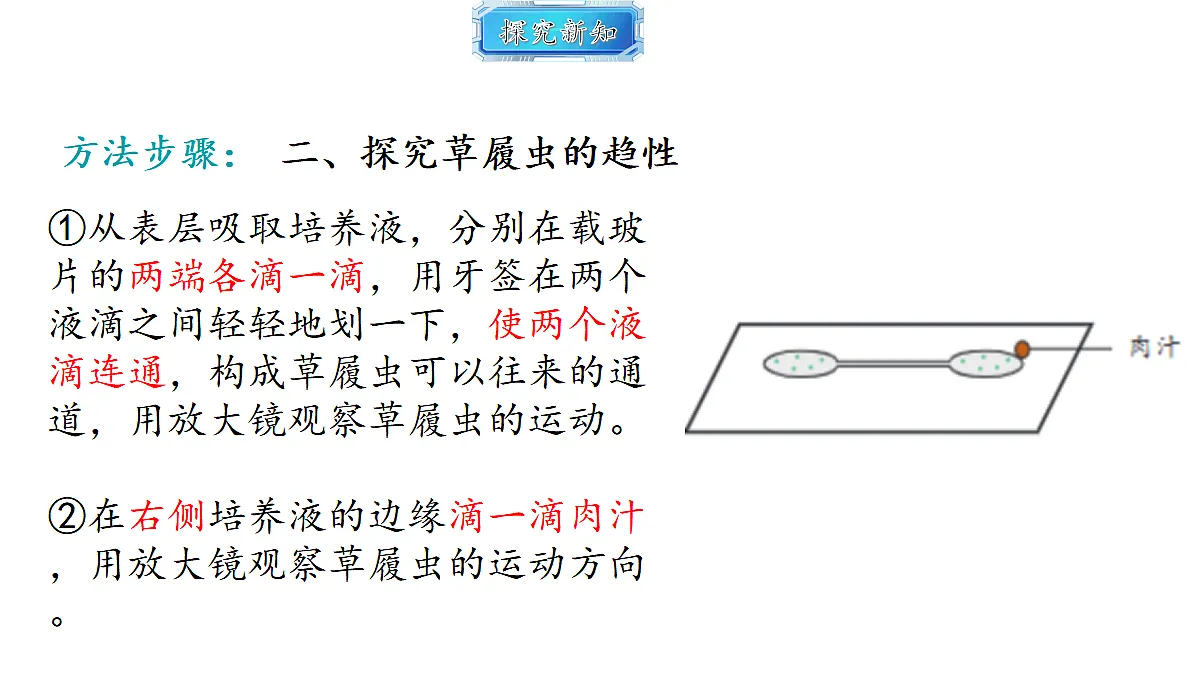18493724第7页