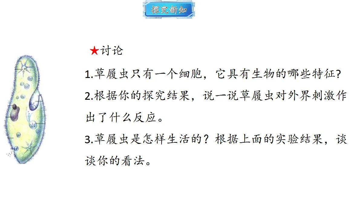 18493724第8页