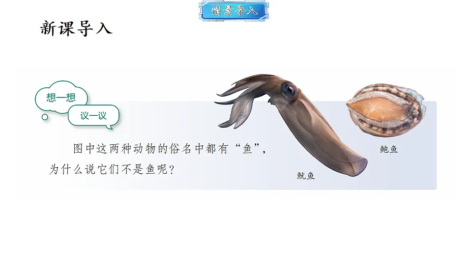 18493729第2页