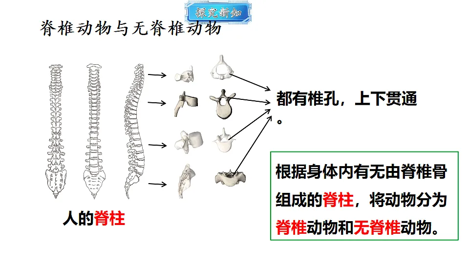 18493729第3页