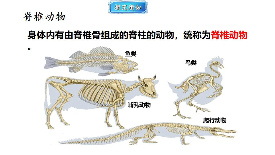 18493729第4页