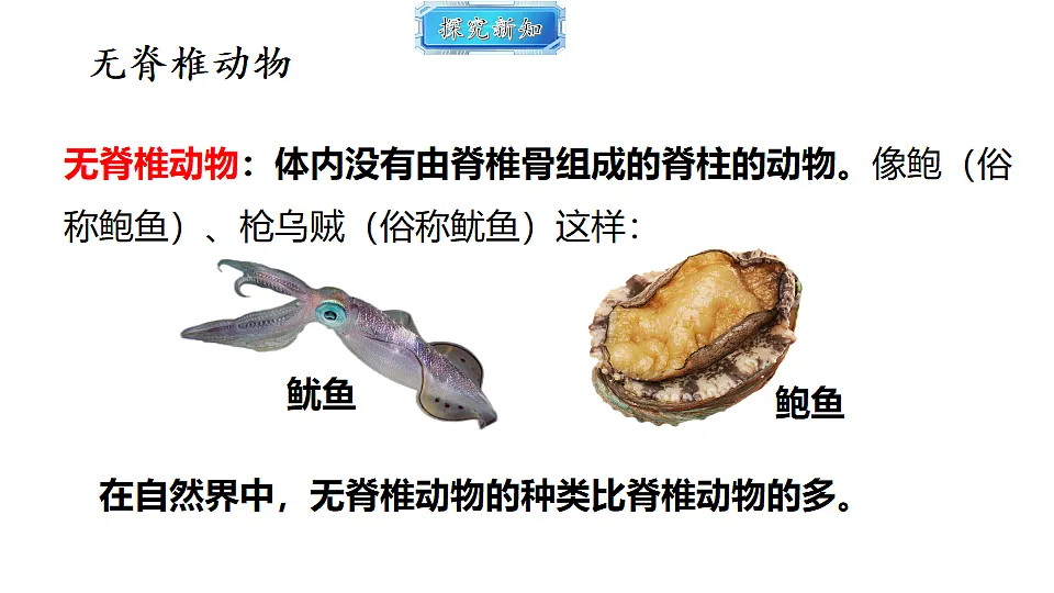 18493729第5页