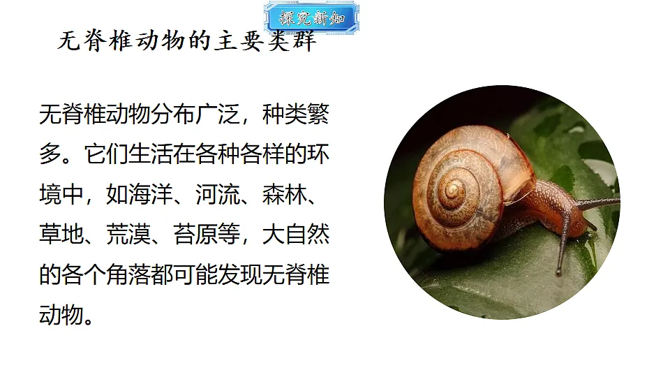 18493729第6页