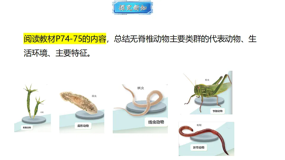 18493729第7页