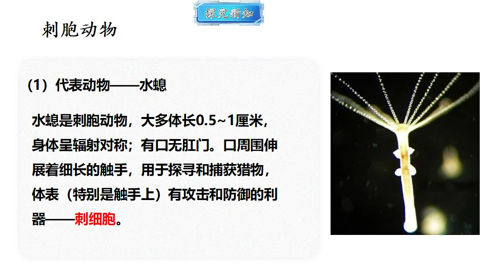 18493729第8页