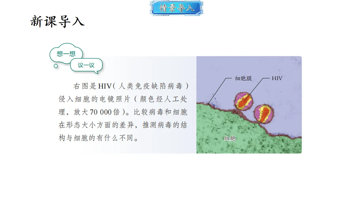 18493738第2页