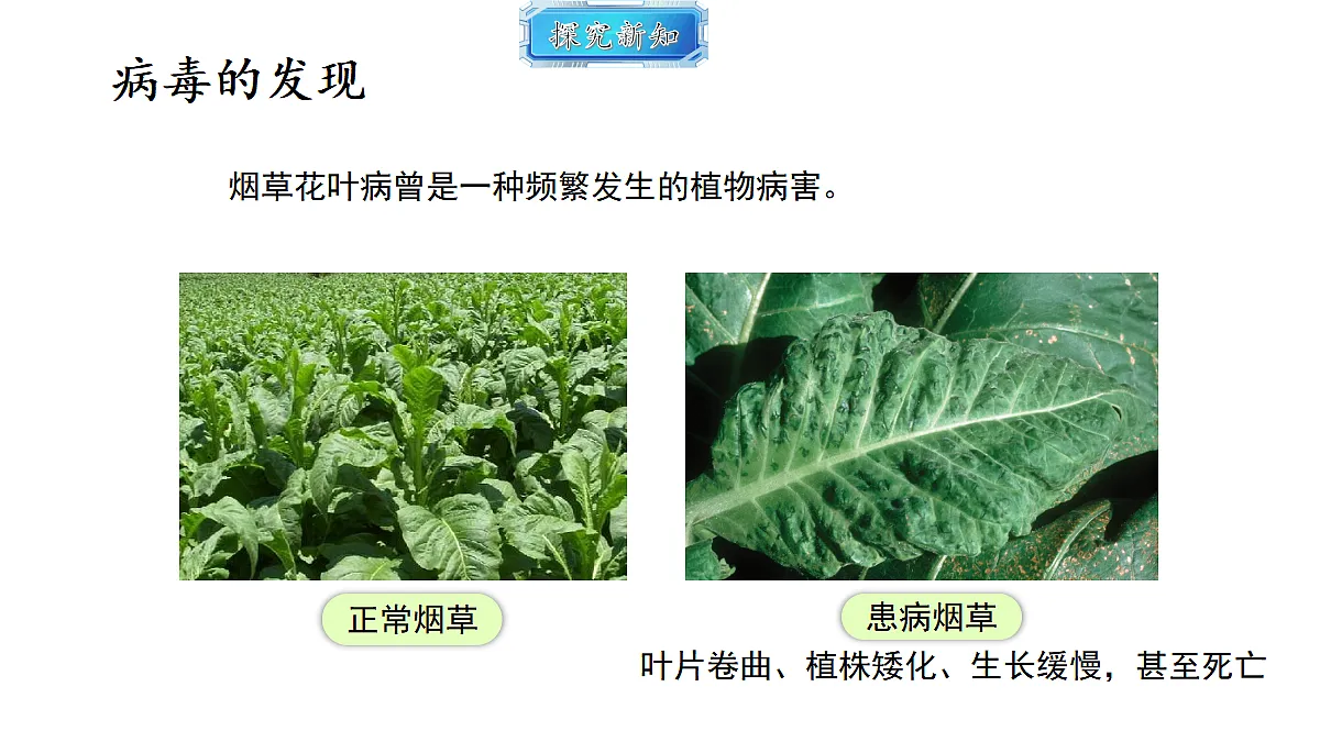 18493738第3页