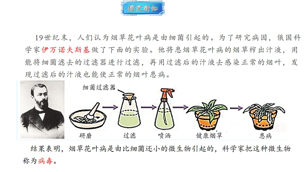 18493738第4页