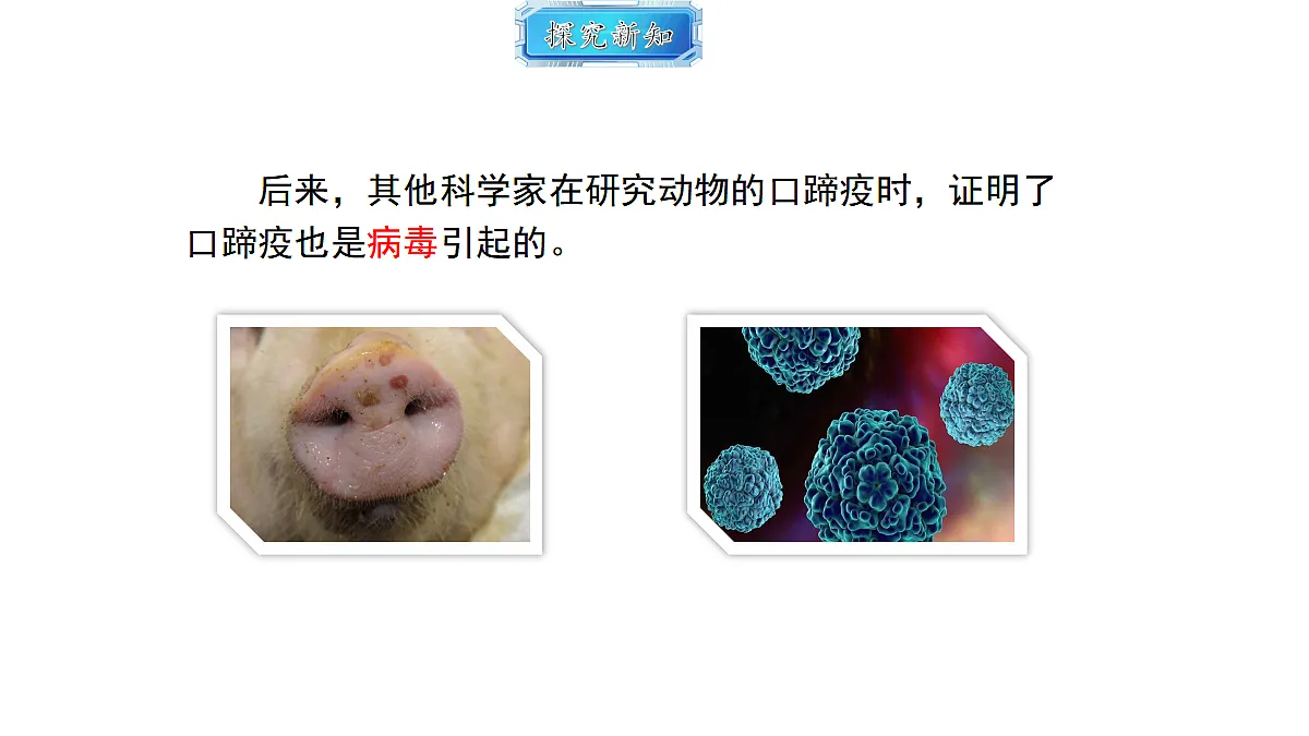 18493738第5页