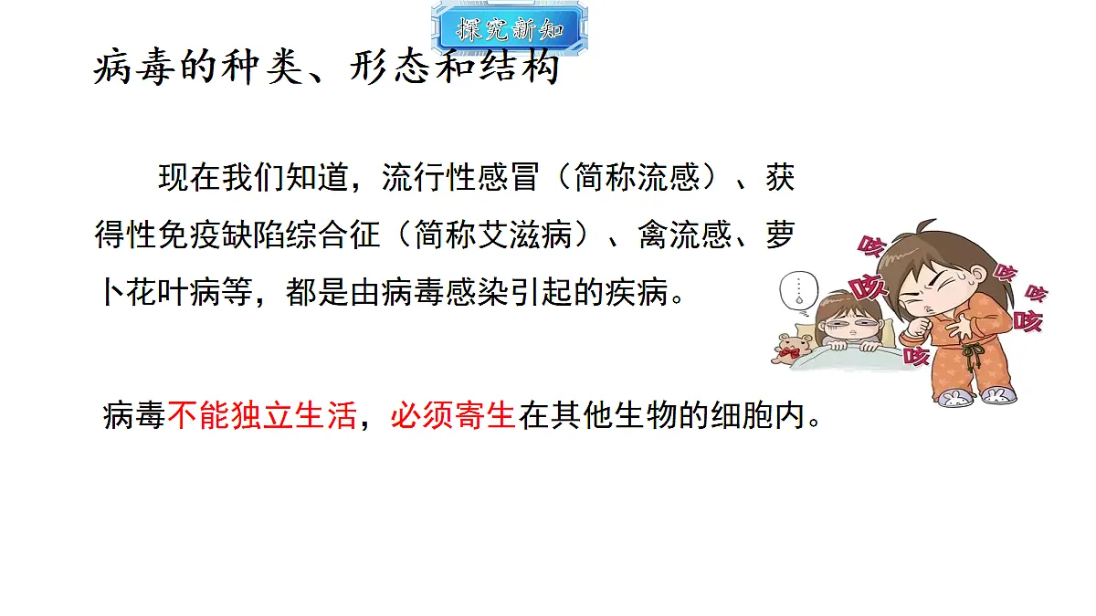18493738第7页