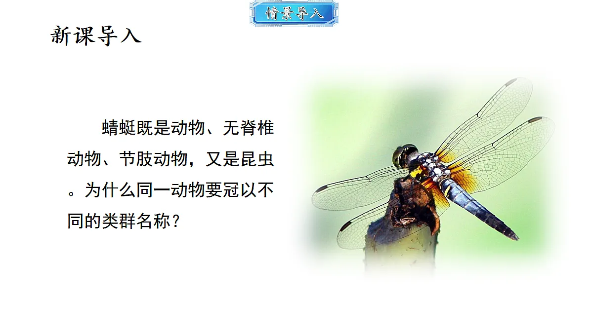 18493741第2页