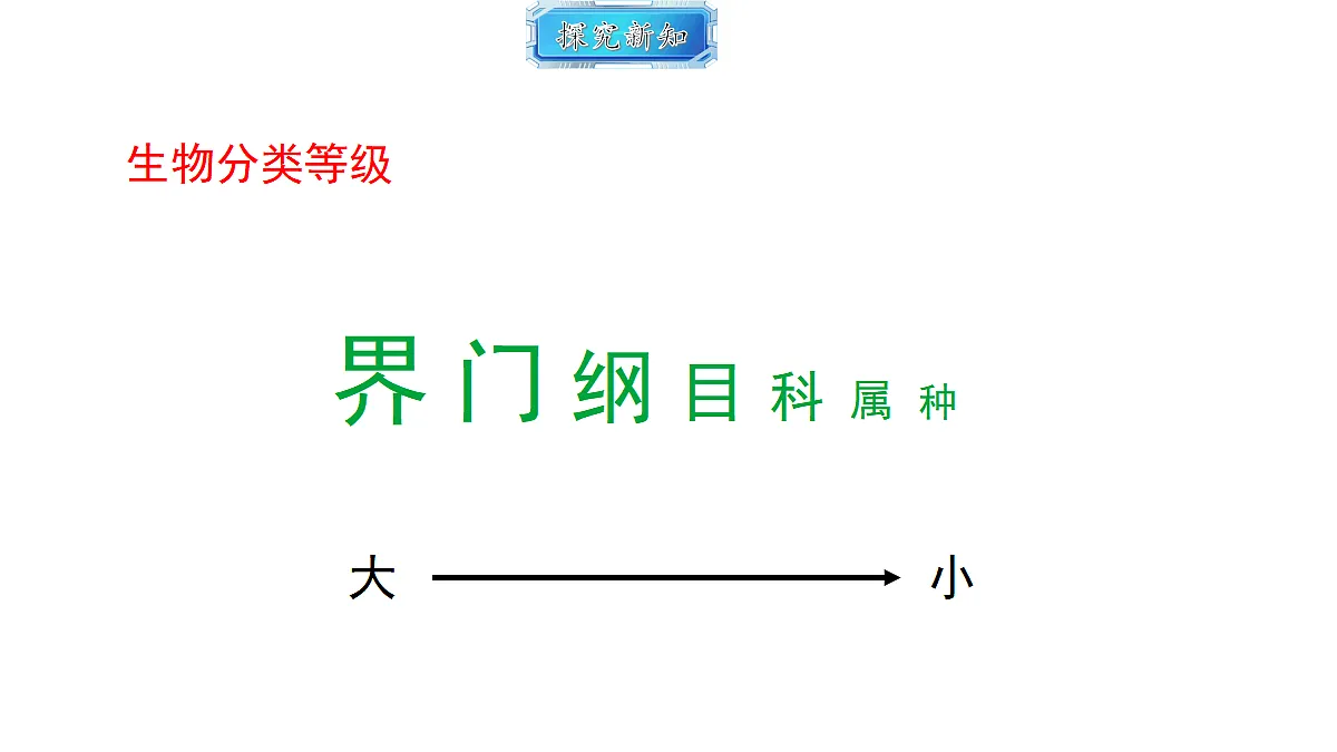 18493741第5页