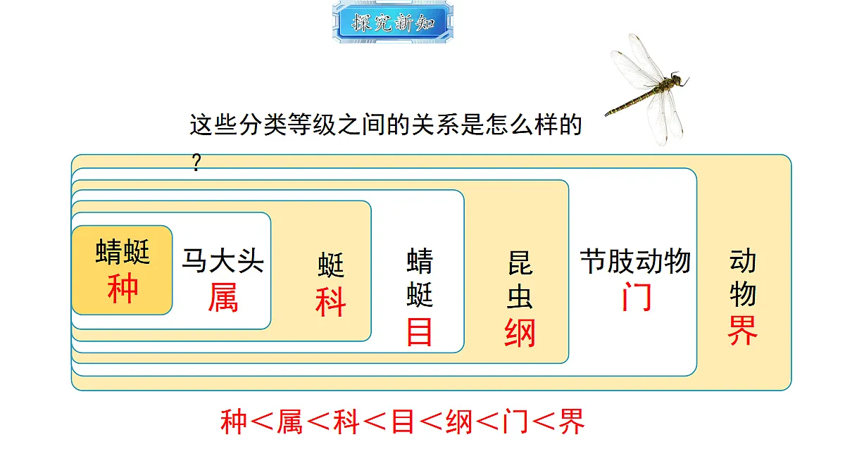 18493741第6页