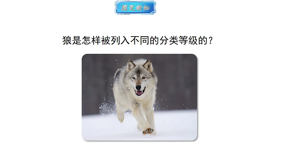 18493741第7页