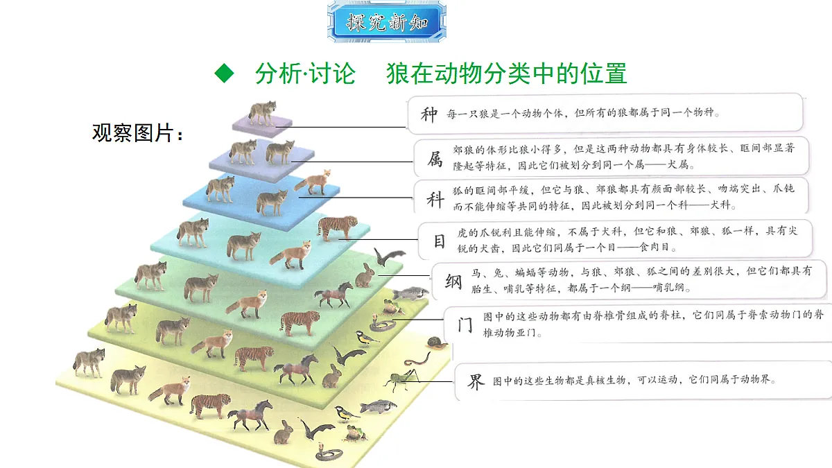 18493741第8页