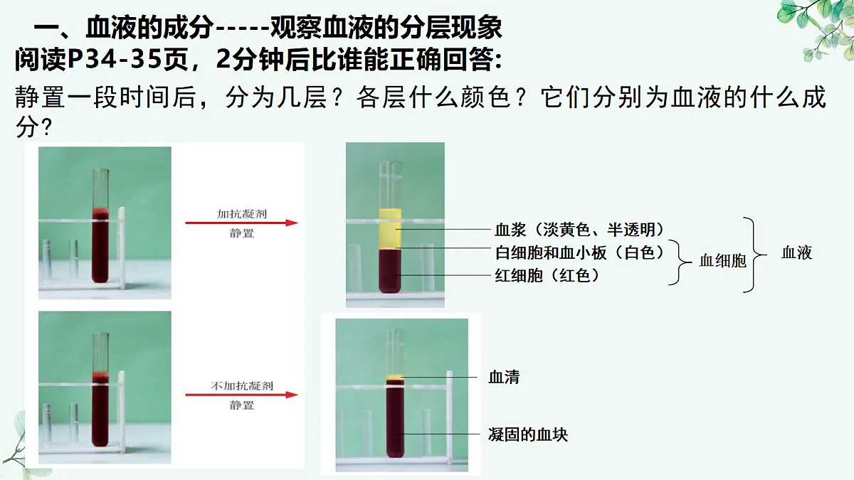 18494866第3页