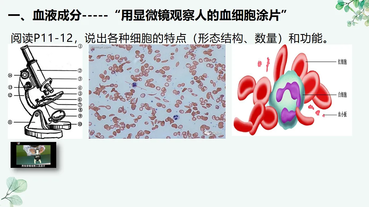 18494866第6页