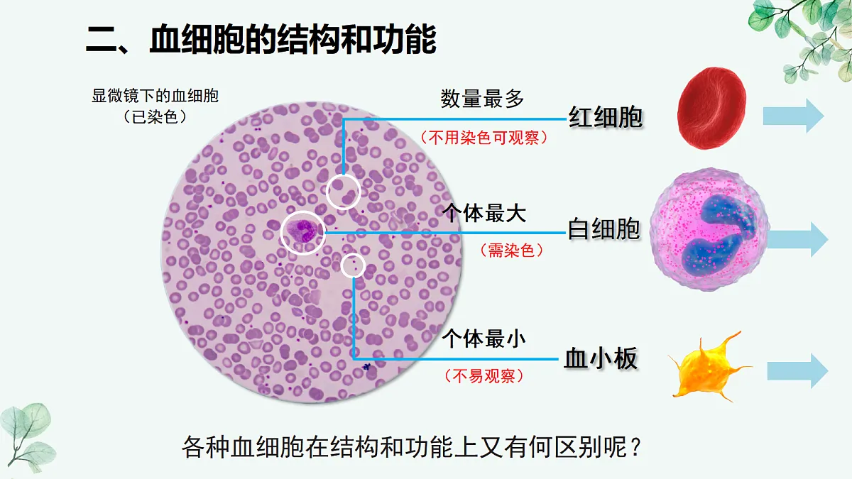 18494866第7页