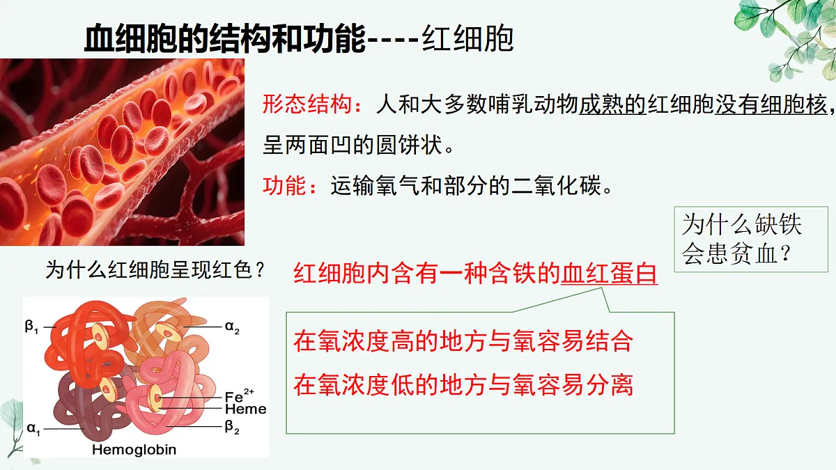 18494866第8页