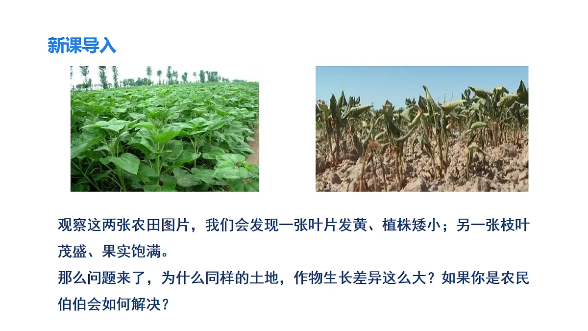 18494875第4页