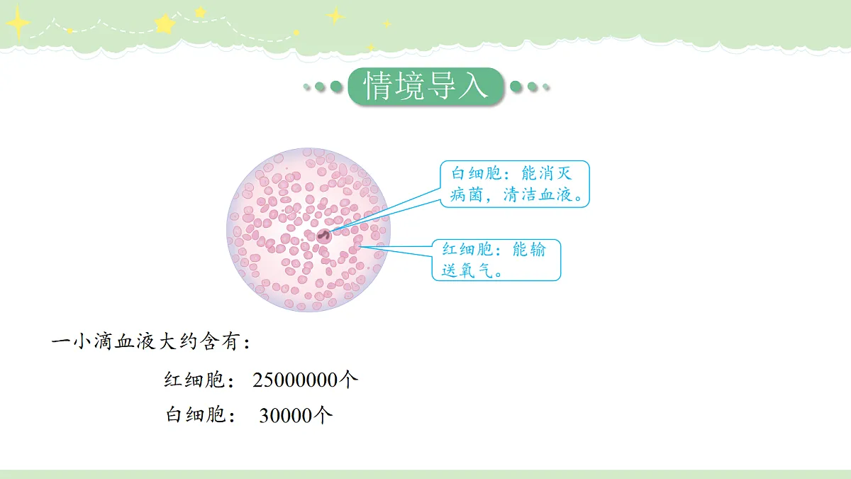 18495147第3页
