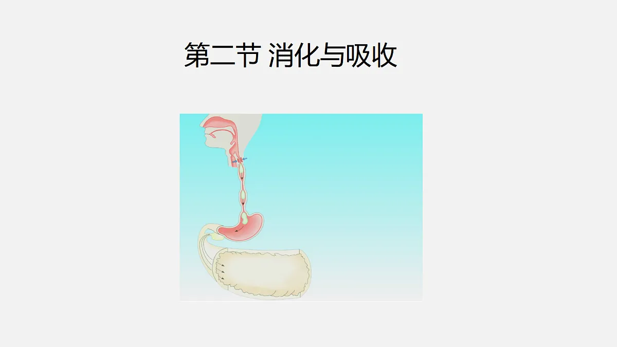 18495150第1页