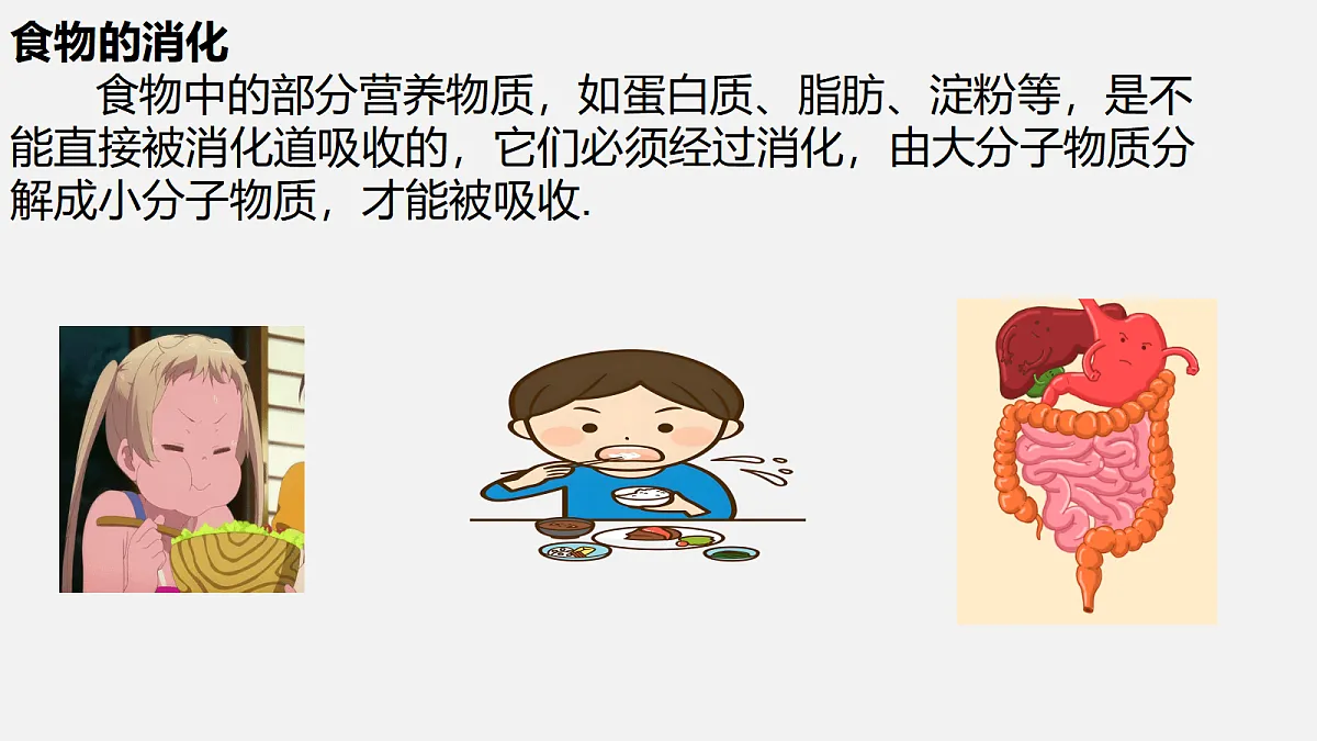 18495150第3页