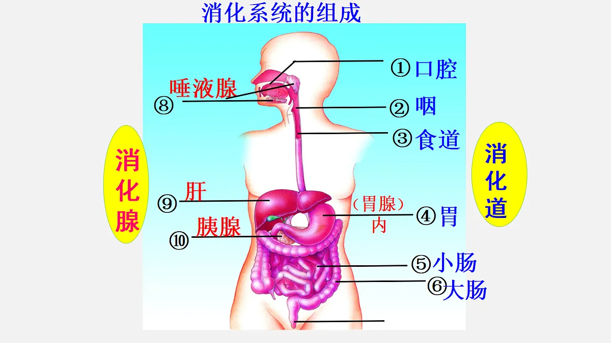 18495150第4页