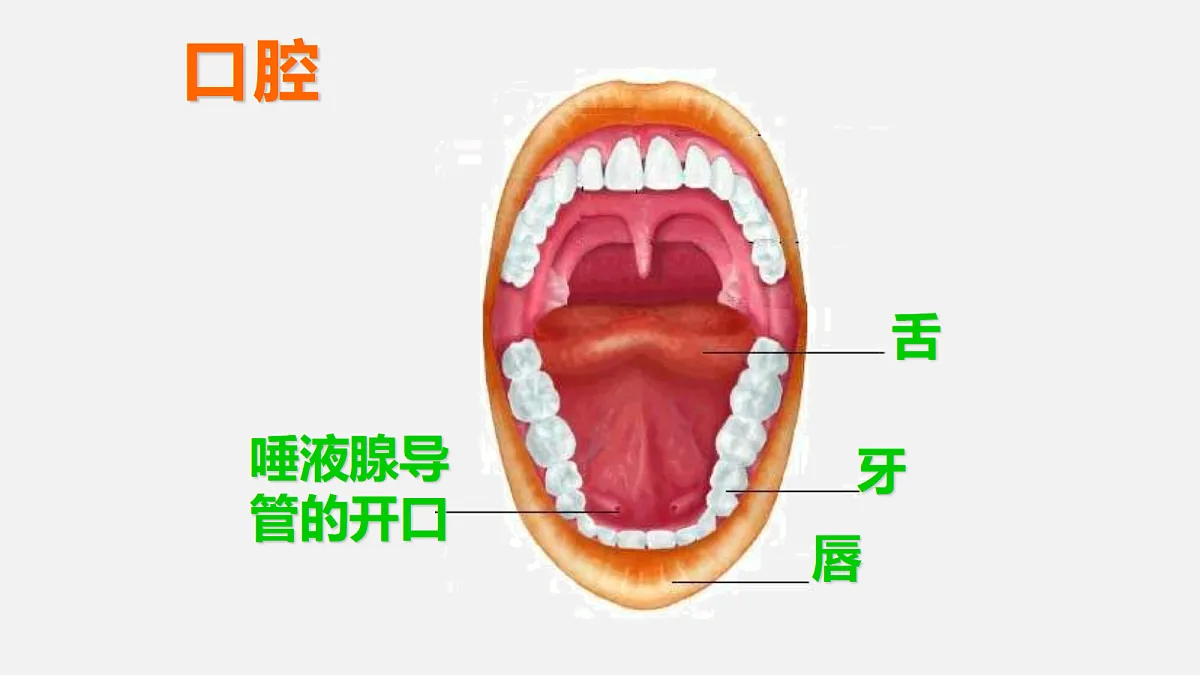 18495150第5页