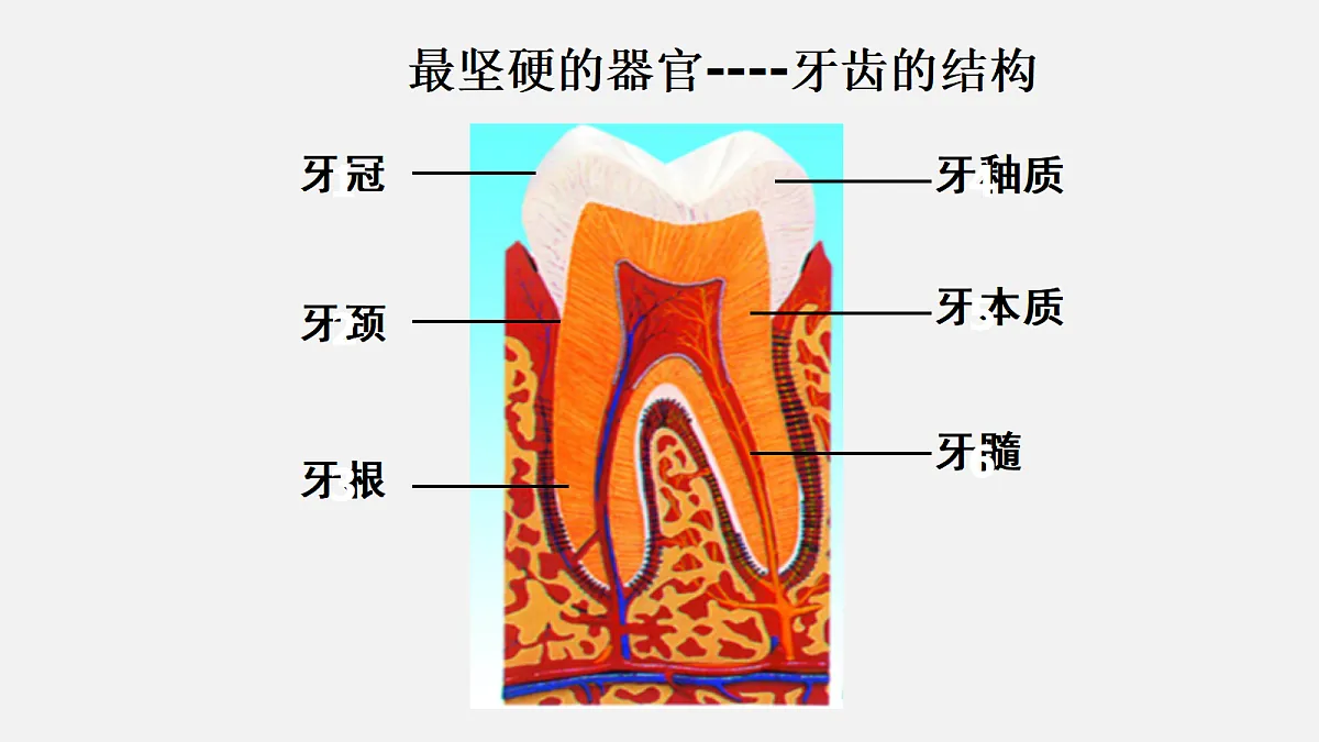 18495150第6页
