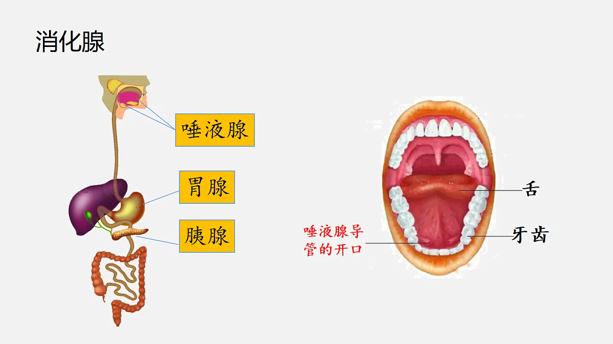 18495150第8页