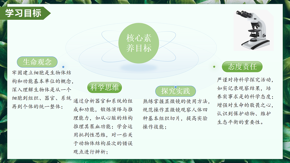 1.3.2 动物体的结构层次 - 初中生物七年级上册 同步教学课件（人教版2024）第3页