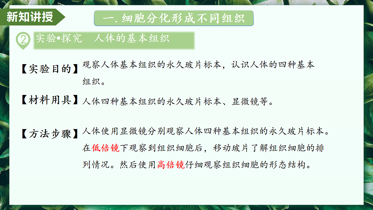 1.3.2 动物体的结构层次 - 初中生物七年级上册 同步教学课件（人教版2024）第7页