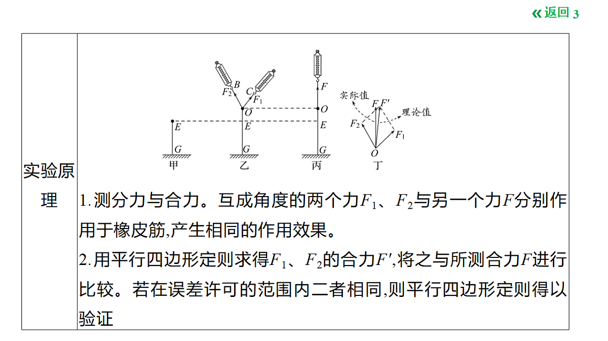 18495451第3页
