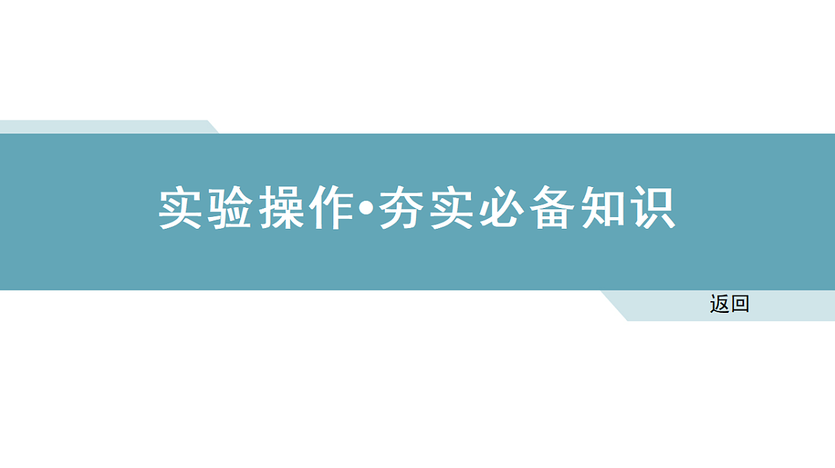 18495456第2页