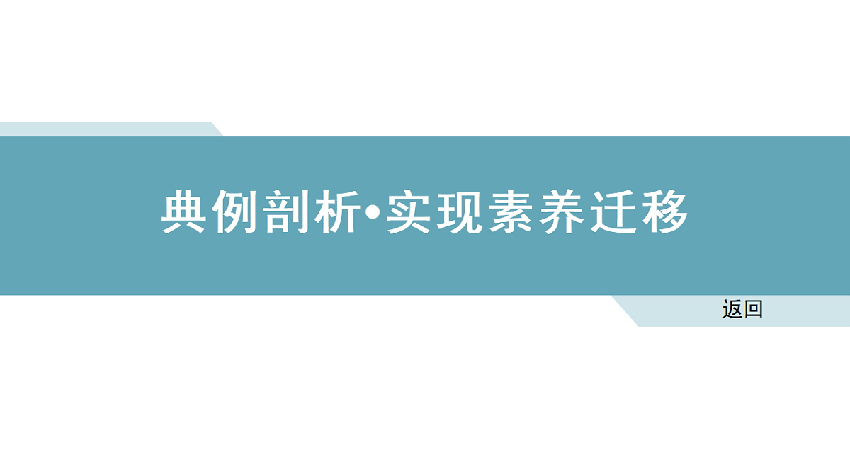 18495456第7页